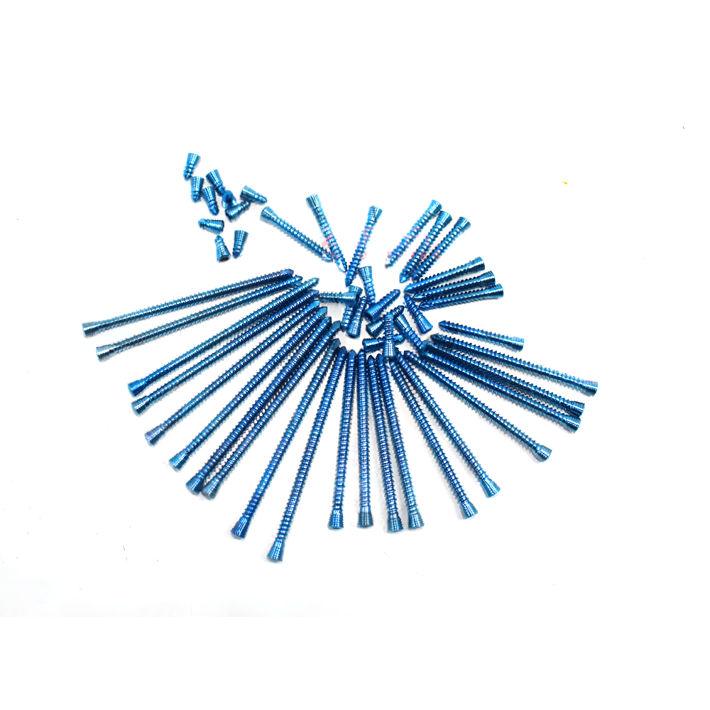 Locking (Safety Lock) SS 316L Blue 2.7mm Ø Hex Head Screws Self Tapping 100 PCs