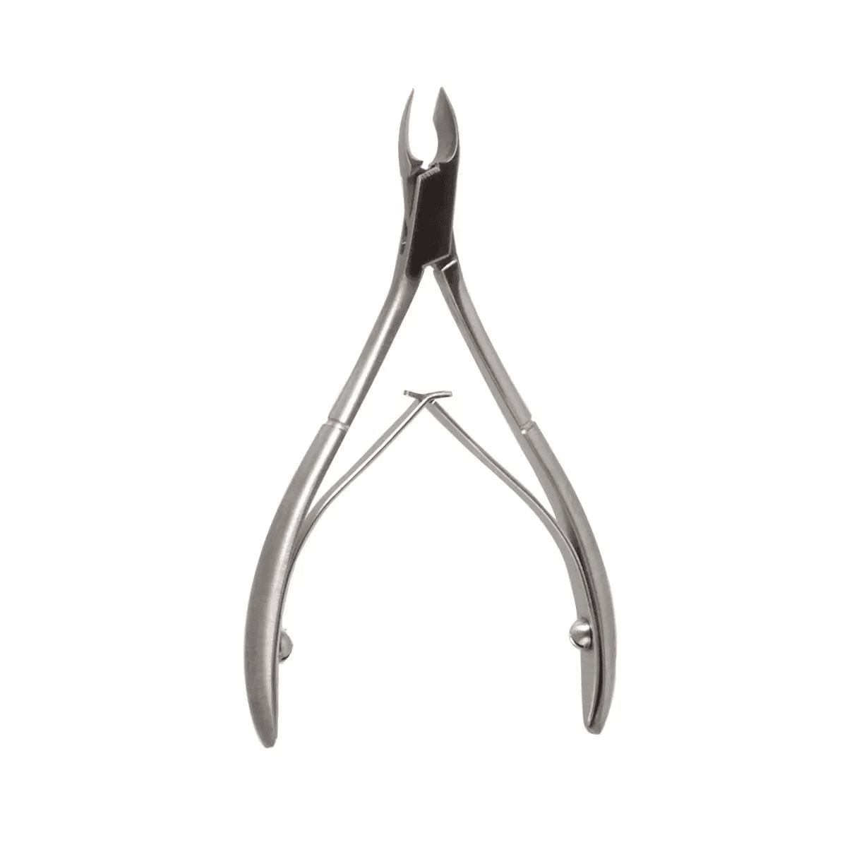 4″ Tissue Nipper Stainless Steel 6mm