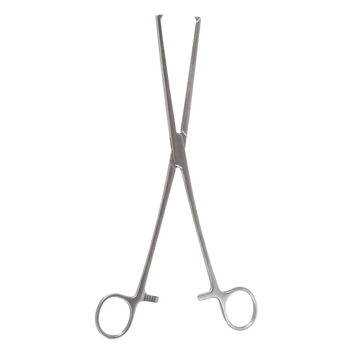 10″ Roch Ochs Hemo Forceps – straight 1×2 teeth