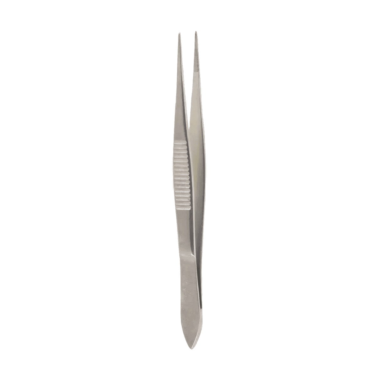 3 1/2″ Splinter Forceps