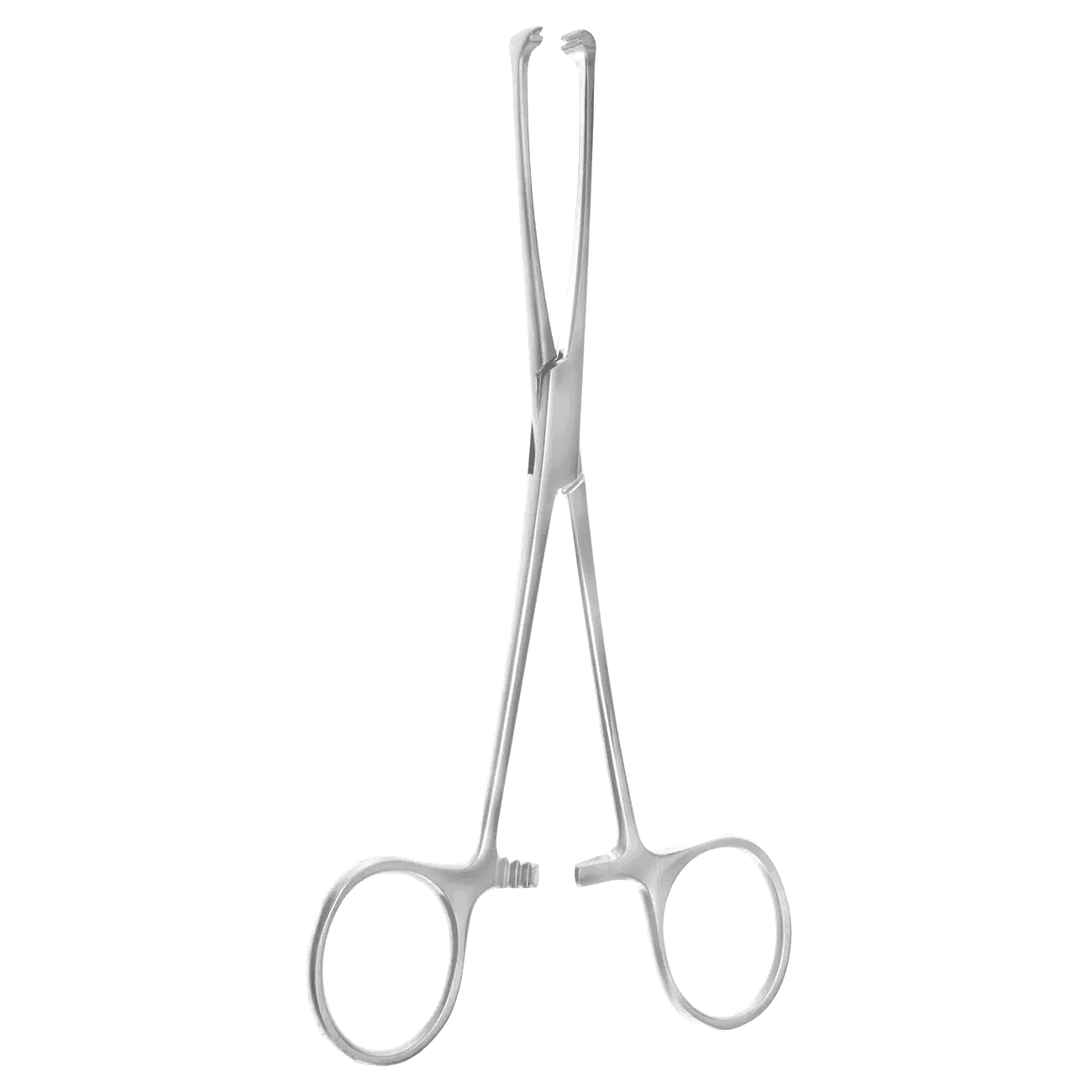 6″ Allis Atraumatic Tissue Forceps