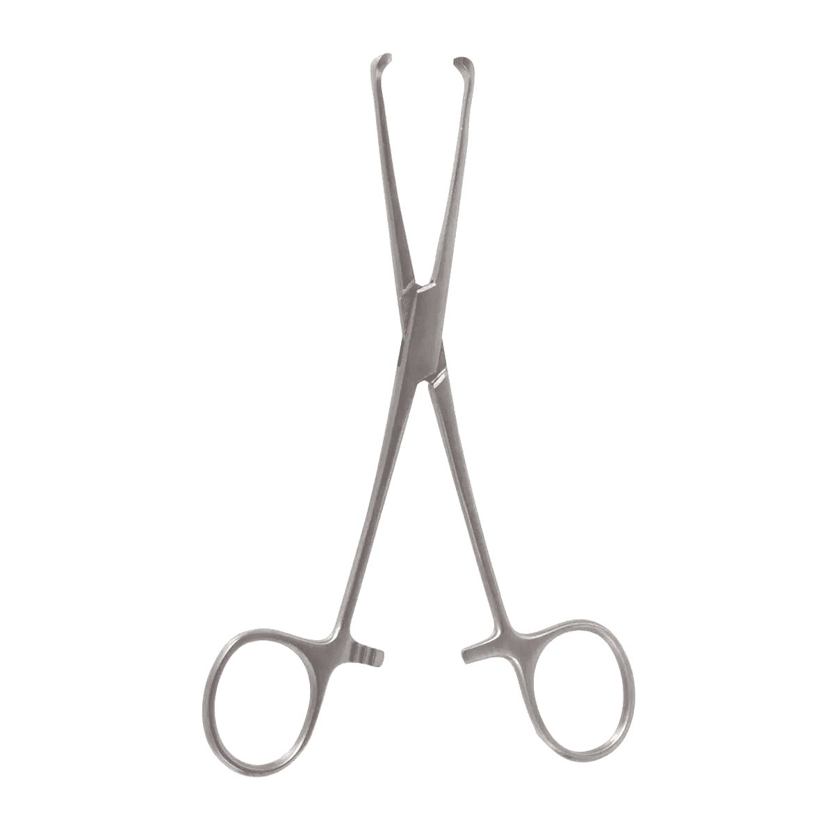 6″ Allis Tissue Forceps 4×5 Teeth