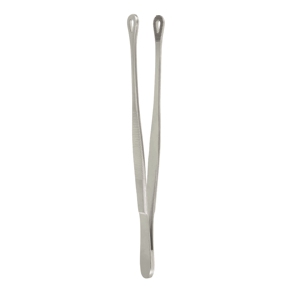 6″ Tuttle Tissue Forceps