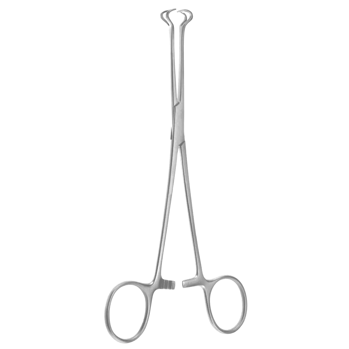 6 1/4″ Baby-Babcock Forceps – Fine Model 8mm Jaw