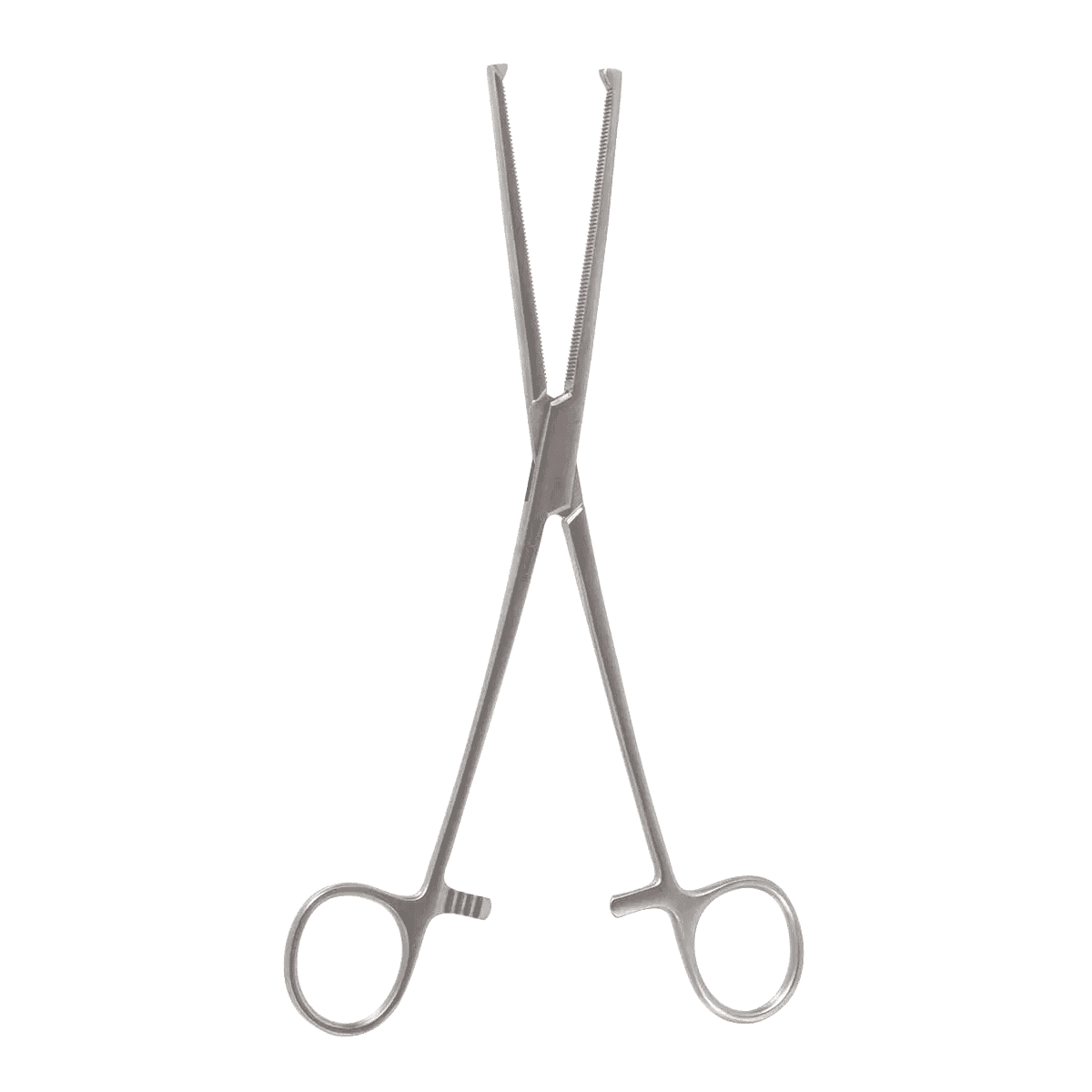 8 3/4″ Roch-Ochs Hemo Forceps – straight 1×2 teeth