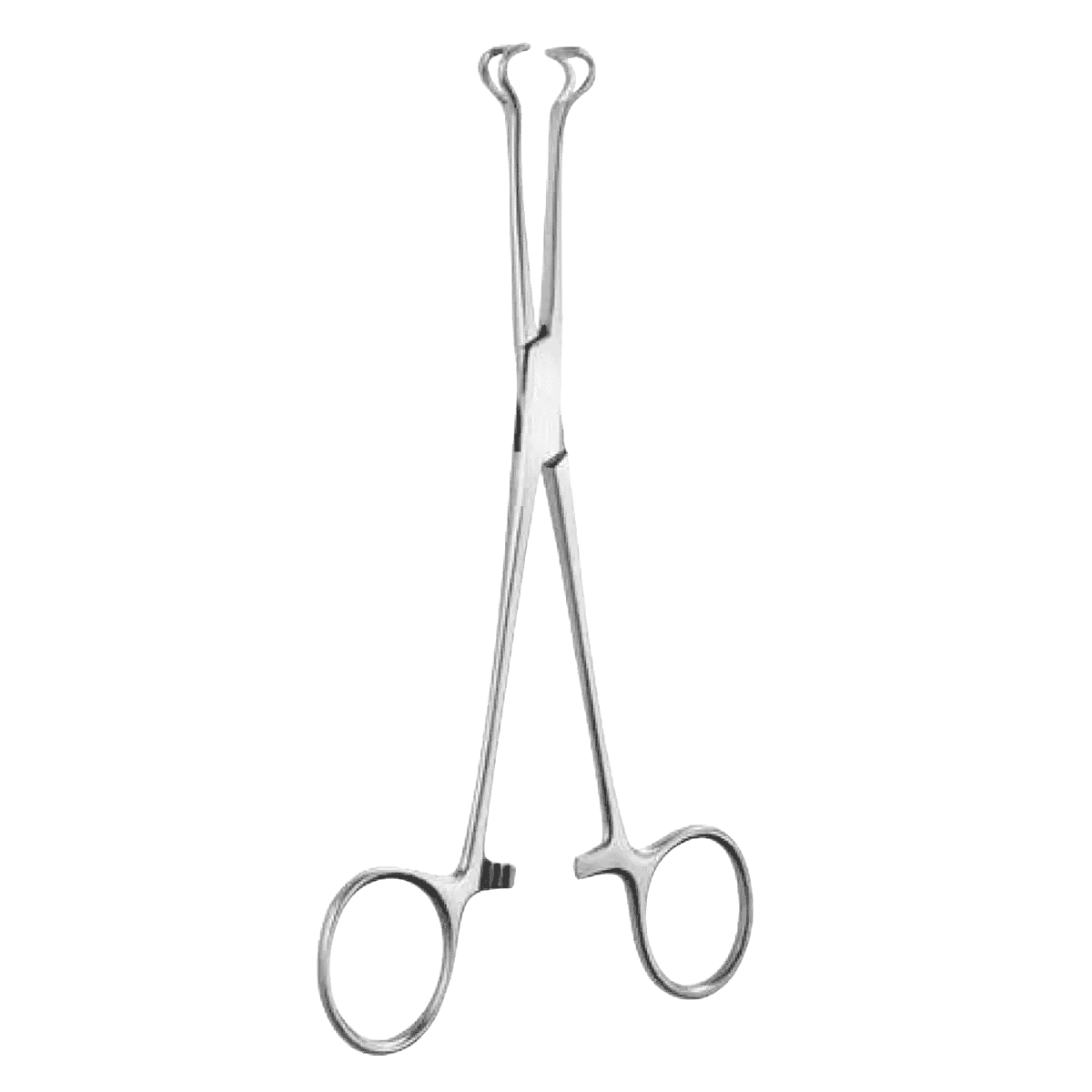 9″ Babcock Tissue Forceps