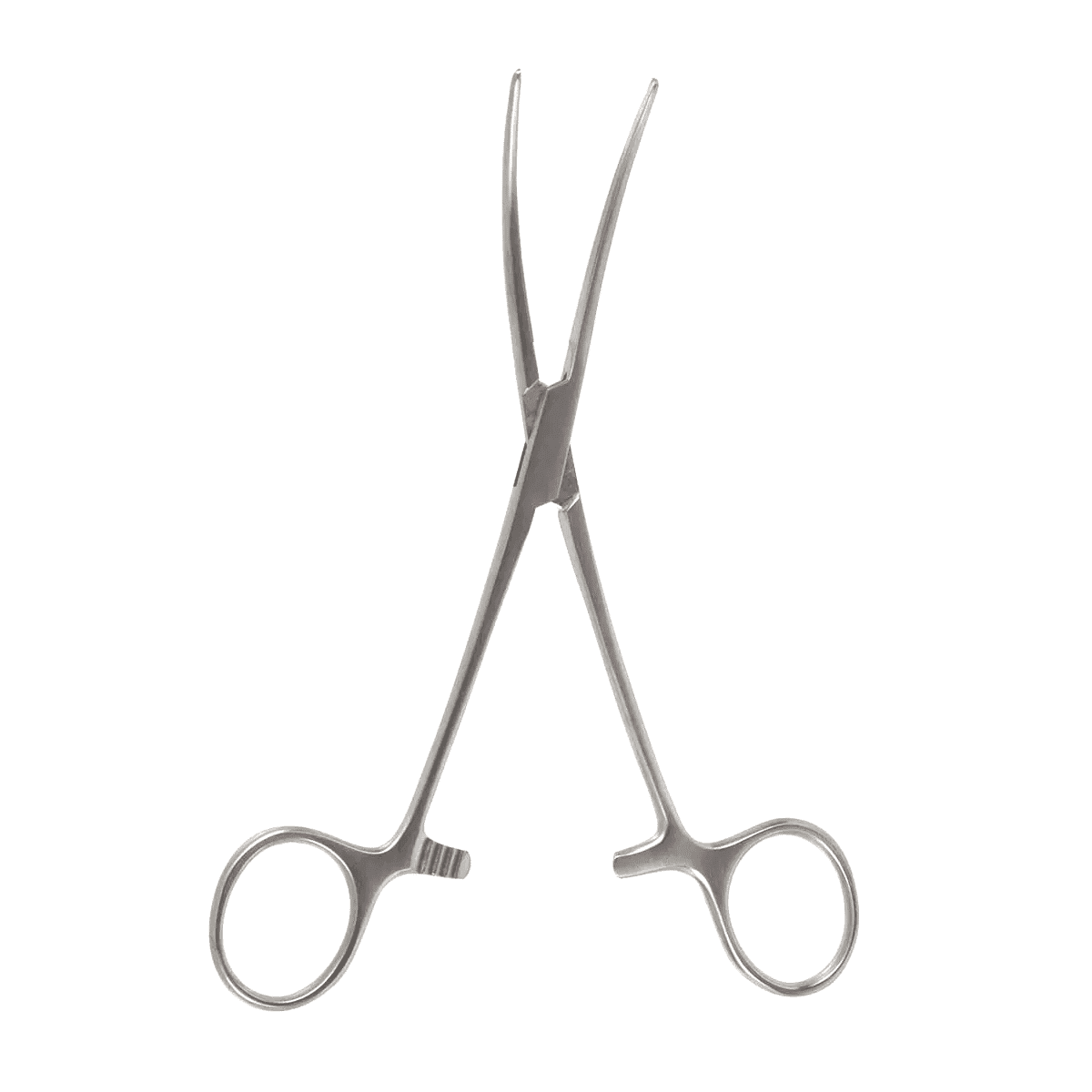 Bainbridge Artery Forceps – Standard