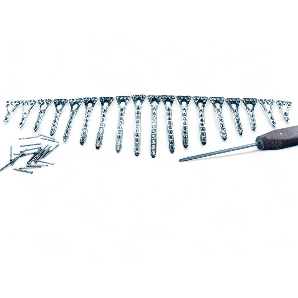 Dstal Radius Volar variable angle Locking 2-10H Plates with screw 92 pc SS 316L