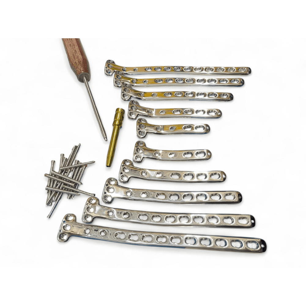 Dorsal Distal Radius Variable Angle Oblique L Plates with Screws – Titanium