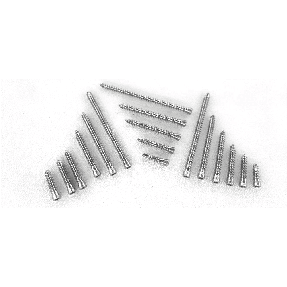 5 mm Safety Locking Screws – Self-Tapping Stainless Steel 316L