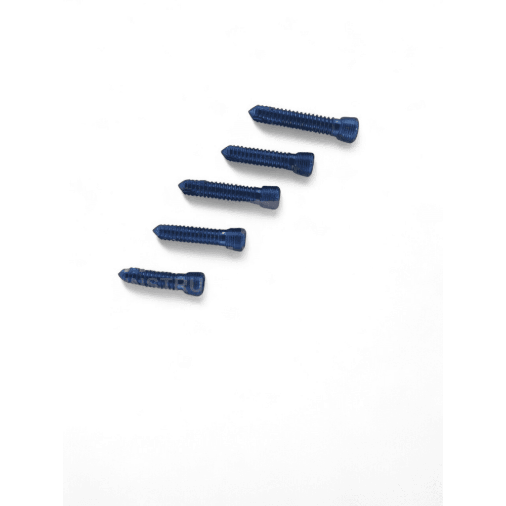 2.0 mm Safety Locking Screws – Titanium, Self-Tapping, 100 Pcs