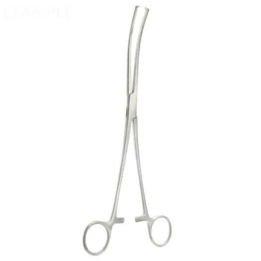 12″ Roch-Ochs Forceps Curved