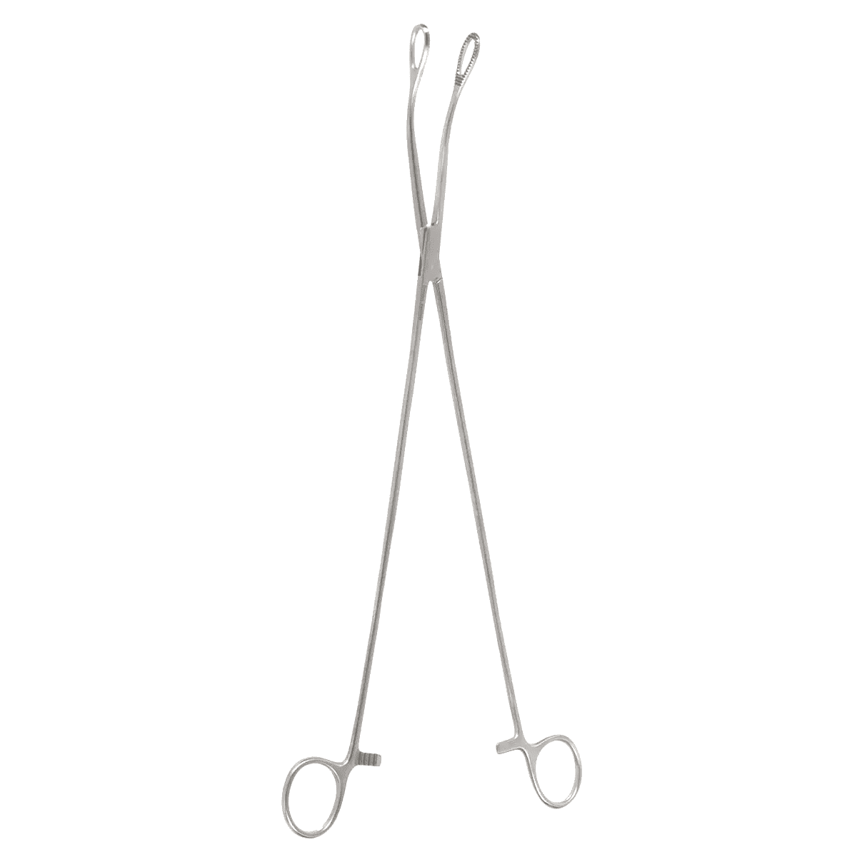 14″ Forester Sponge Forceps – Curved Serrated